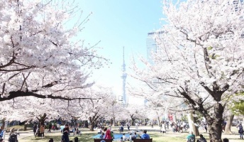 【画像】超絶キレイな風景画像をご覧くださいwwwwwwwwwww