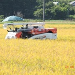 市原市に憲法と地方自治を活かす会