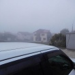今朝も濃霧