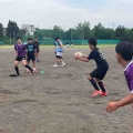 6月15日