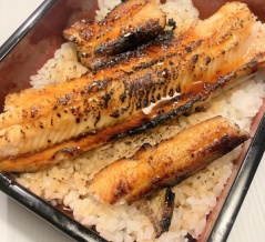 【森漁港でデカい真穴子が釣れたから穴子丼にした】さばくのムズすぎ
