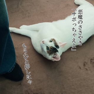 moroのハンドメイド