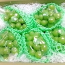 Shine Muscat‼
