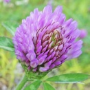 ４月７日は何の日？