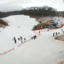 軽井沢は雨です(T_T)