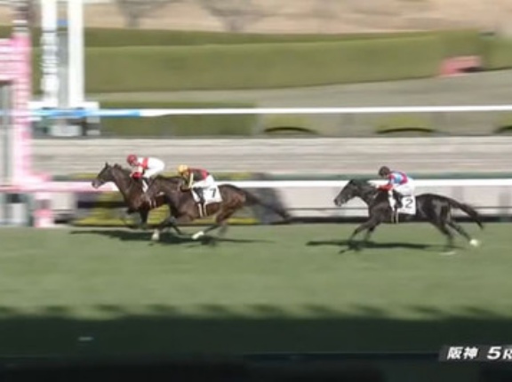 5億円サガルマータ新馬3着に福永師「予定よりはるかに走った！」