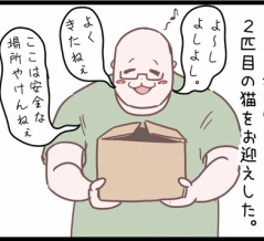 こんにちは！ネコちゃん！のまき