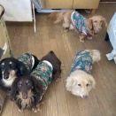 流行りのせいろ。