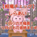 『【相場チェック】しらあいが+1万Gの大幅高！12月のお花価格まとめ』の画像