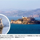 話題のコヨーテがアルカトラズ島で「食べ放題」の夢を実現　サンフランシスコ湾で泳いだ後