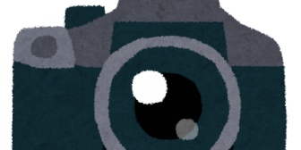 旦那が一眼レフを落として壊してそこそこ高いのを買い直した。なんで物を大事にしないんだろう…