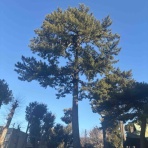 手作り雑貨、アクセサリーそして音楽も素敵【Cocokara】