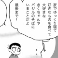 猫の余命宣告⑨夫、13年（後編）