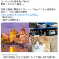 マルタ島のネコ虐殺日本人のオカムラサトシ、ガチで島民を怒らせる。「恥を知れ」「日本に叩き出せ」