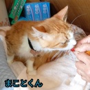 譲渡契約👏