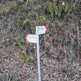 『上野原市聖武連山と八重山ハイキングコース』の画像