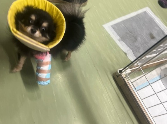 今夜も深夜通信です。😅💦