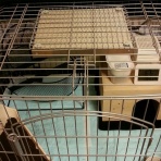 シナモン day's♡