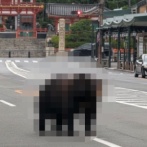 GoogleのAIサービス『Gemini』、ガチでヤバい画像生成機能を実装　反AIどうすんのこれ・・・