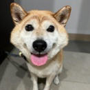 みかんのおでこ