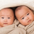 来月双子が生まれるんやが
