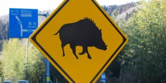 車で一人旅をしているとDQNカーにビタづけされ煽られてしまった。煽られてる時はシネとか思ってたけど、まさかあんな事になるとは…