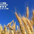田舎記者の手帳