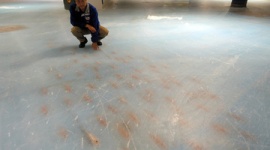 スケートリンクに魚５千匹を氷漬け、残酷イベントに批判殺到…スペースワールド