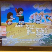 WBC�ϥ��å��Ǥ�������������Υ��å��Ϥ����͡����չ��֤Υ��å���