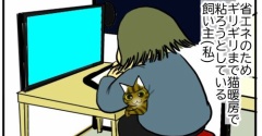 【猫との暮らし】猫暖房で行こう！