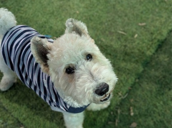 今日も暖かなシェルター地方です🌸🌸🌸