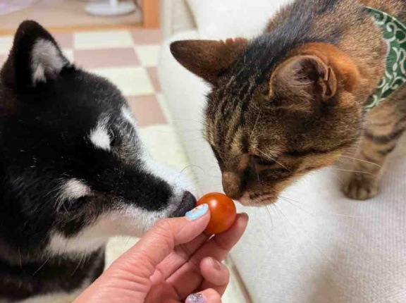     新・食いしん坊コンビ、誕生しました！