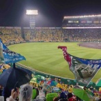 全国ツバメ軍団日誌！