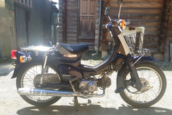 犬小屋暮らし カブ