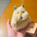 買ってはみたけれど…
