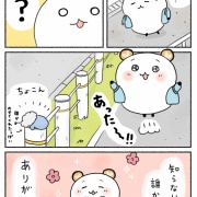 【エッセイ】なくした手袋と、そのあたたかさ