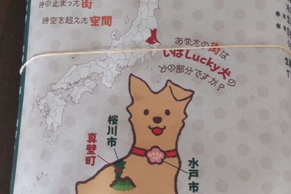茨城発 投げログ あとは任せた
