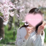 『さくら！2周年＊sakura』の画像