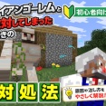 【マイクラ】アイアンゴーレムと敵対してしまったときの対処法【初心者向け】