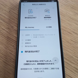 きまじめチキン日記