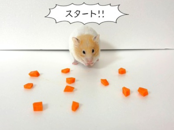 今日のプリン(10/18追記)