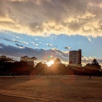 向日葵の庭　　～Sunflower garden～