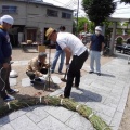 淀川神社　夏越しの大祓　茅の輪くぐり