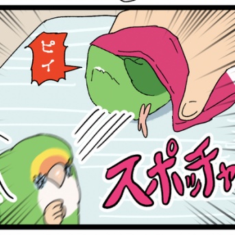 前を見て走らないからだと思う🦜