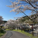 新年度が始まる