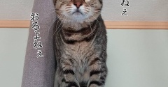 洗濯機の下が怖い。と、オレンジの鉱石つくりました。