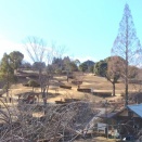 パークゴルフ午年の初打ち