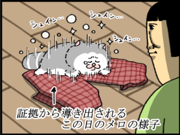 証拠が語っている