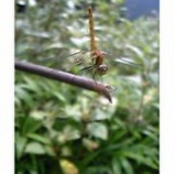 �ؤȤ�ܤε�Ω���٤β���