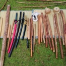 3/29 イスノキの植樹